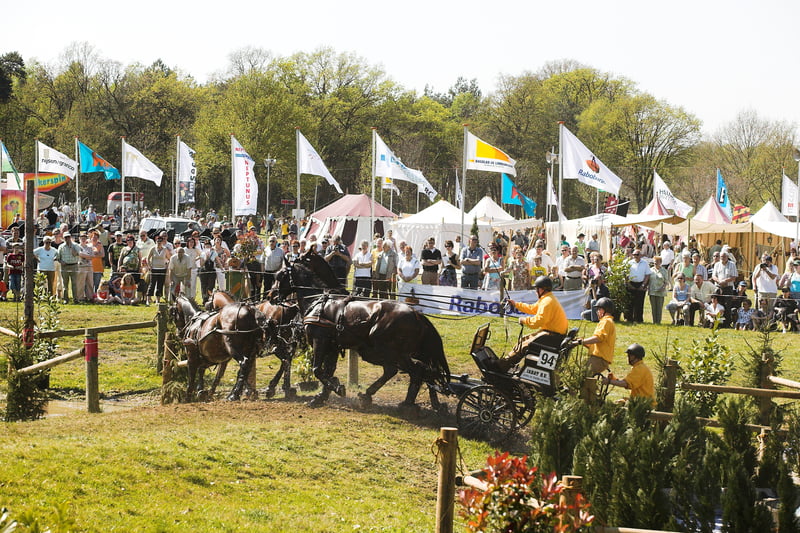 NK Vierspannen 2016 in Horst aan de Maas