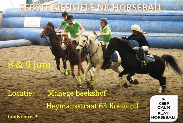 Horseball competitie 2014