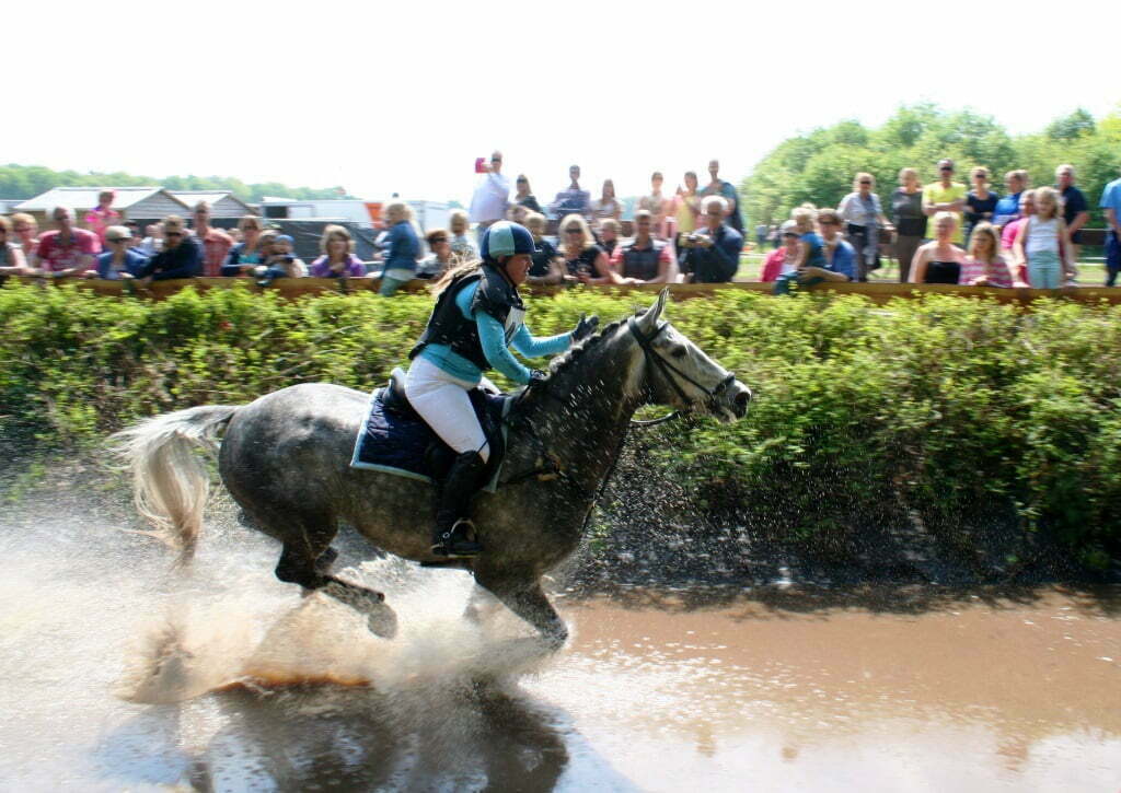 Mooie sport tijdens Hippisch Festijn Limburg