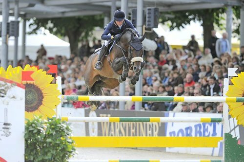 Valkenswaard: Limburgse Veulenveiling levert Global Champion Van Gogh