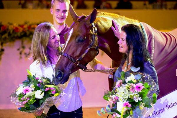 Record brekende editie van de Dutch Sport Horse Sales