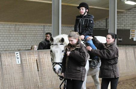 Paardrijden voor mensen met een beperkingphanie Welschen