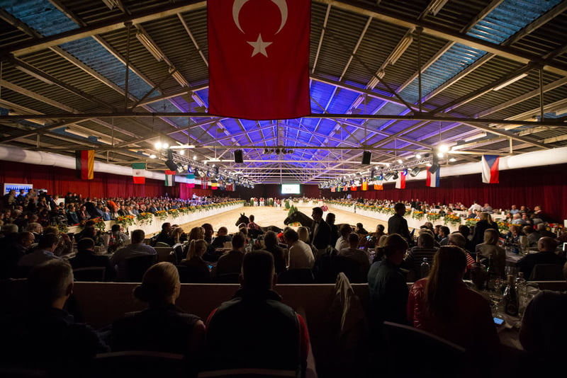 Dutch Sport Horse Sales en Limburgse Veulenveiling verhuizen naar Equestrian Centre de Peelbergen