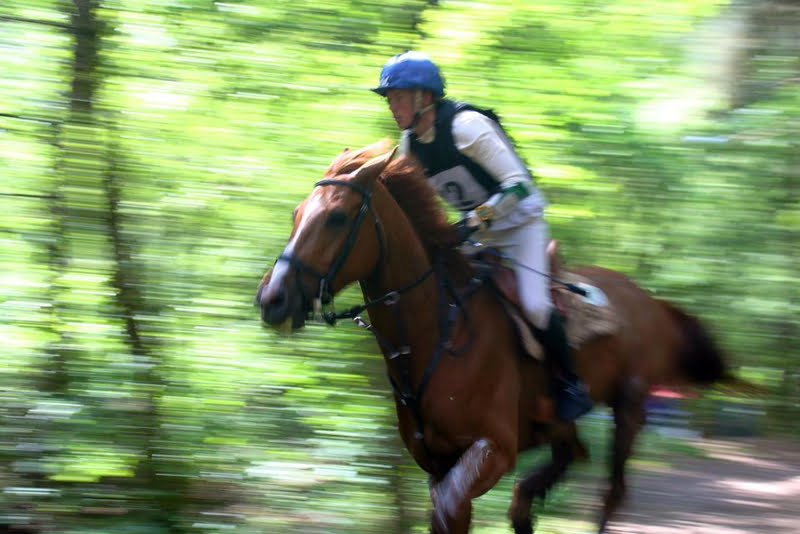 CCI* Castenray verreden onder uitstekende condities