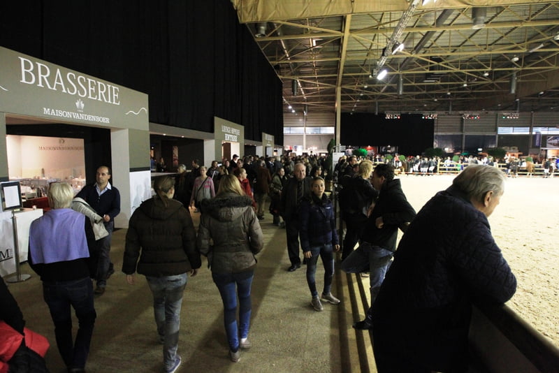 UITNODIGING: Mini-symposium Paardensport Limburg