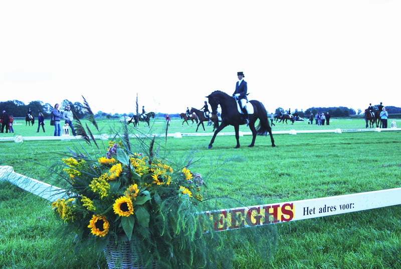 Concours Hippique RV Equinus Stramproy