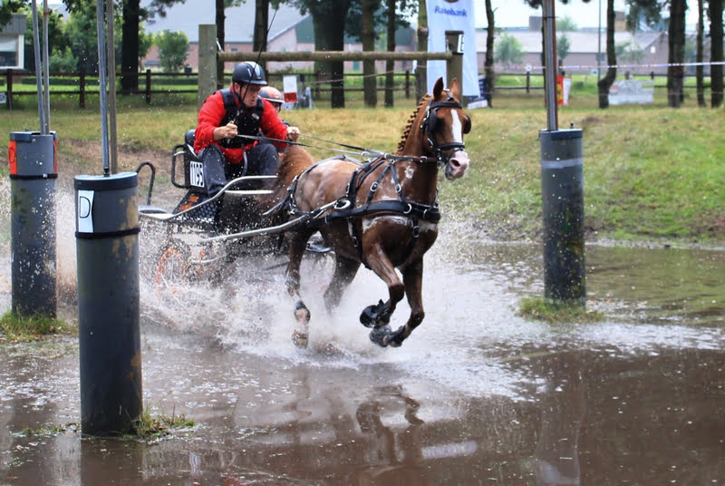 Menvereniging Peel en Maas Marathon