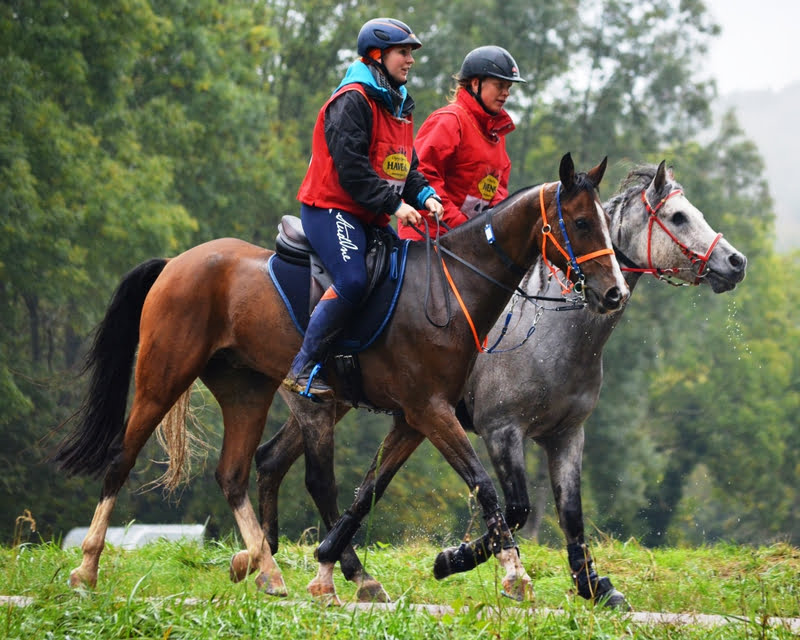 Nieuw: Endurance Event Heijenrath