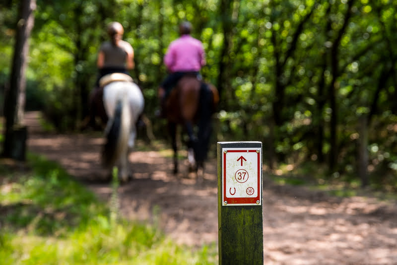 Buitenrijden in het Grenspark Maas-Swalm-Nette