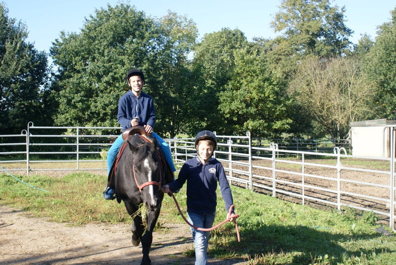 Go for Gold Kids Paardensport – Wijnandsrade