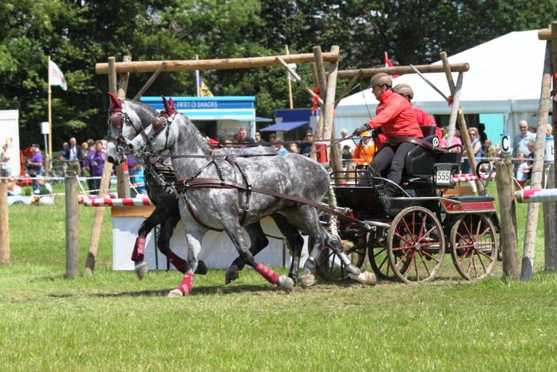 Driving Event Heijenrath internationaal in 2014