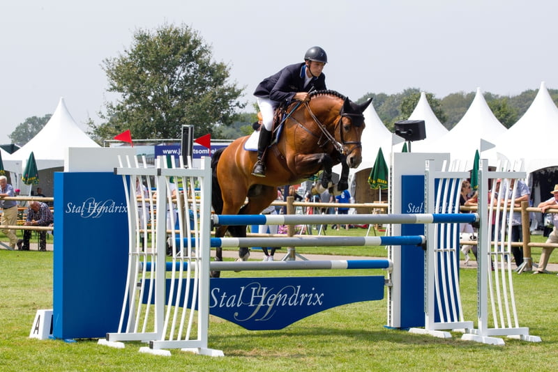 Grand Prix-springhengst Bustique verkocht naar USA