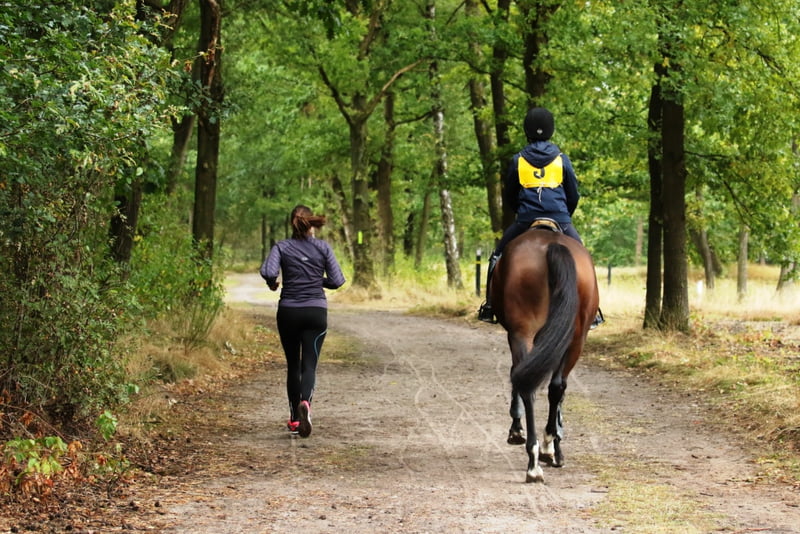 Succesvolle 1e Ride & Run tijdens Leudalrit