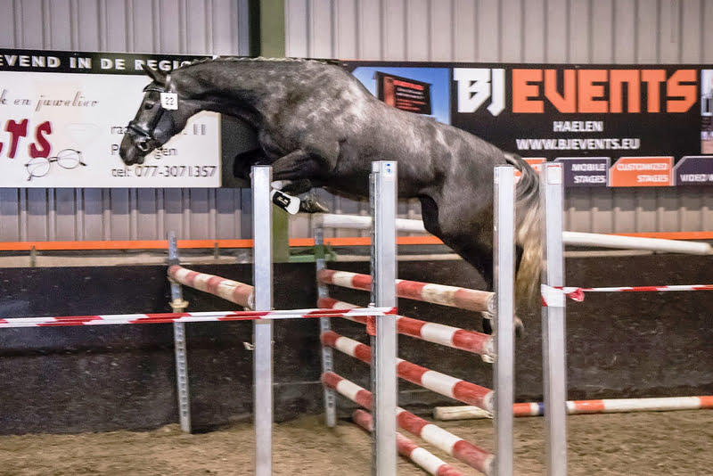 Selectie finale vrijspringen Limburg bekend