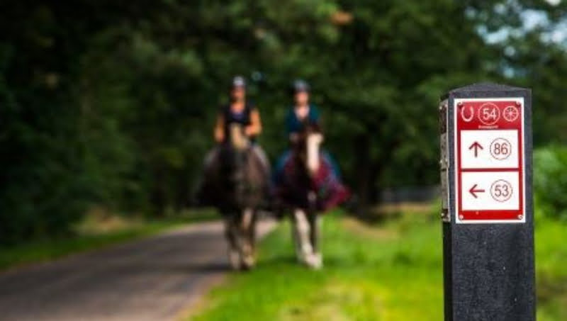 Stimuleringsregeling PaardenWelkom-label voor Limburg