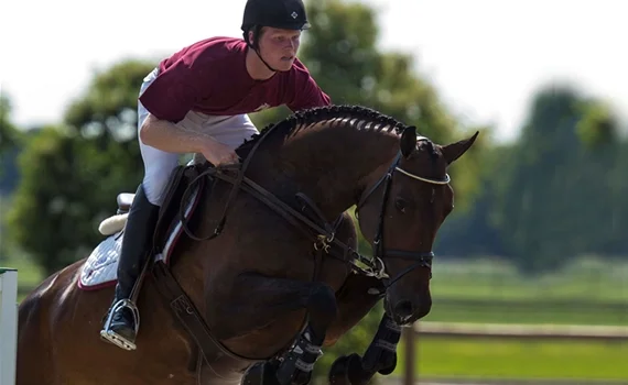 KWPN Limburg – Stal Hendrix Competitie