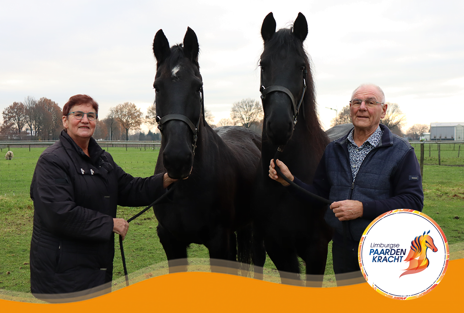 Limburgse Paardenkracht: Piet Holtermans