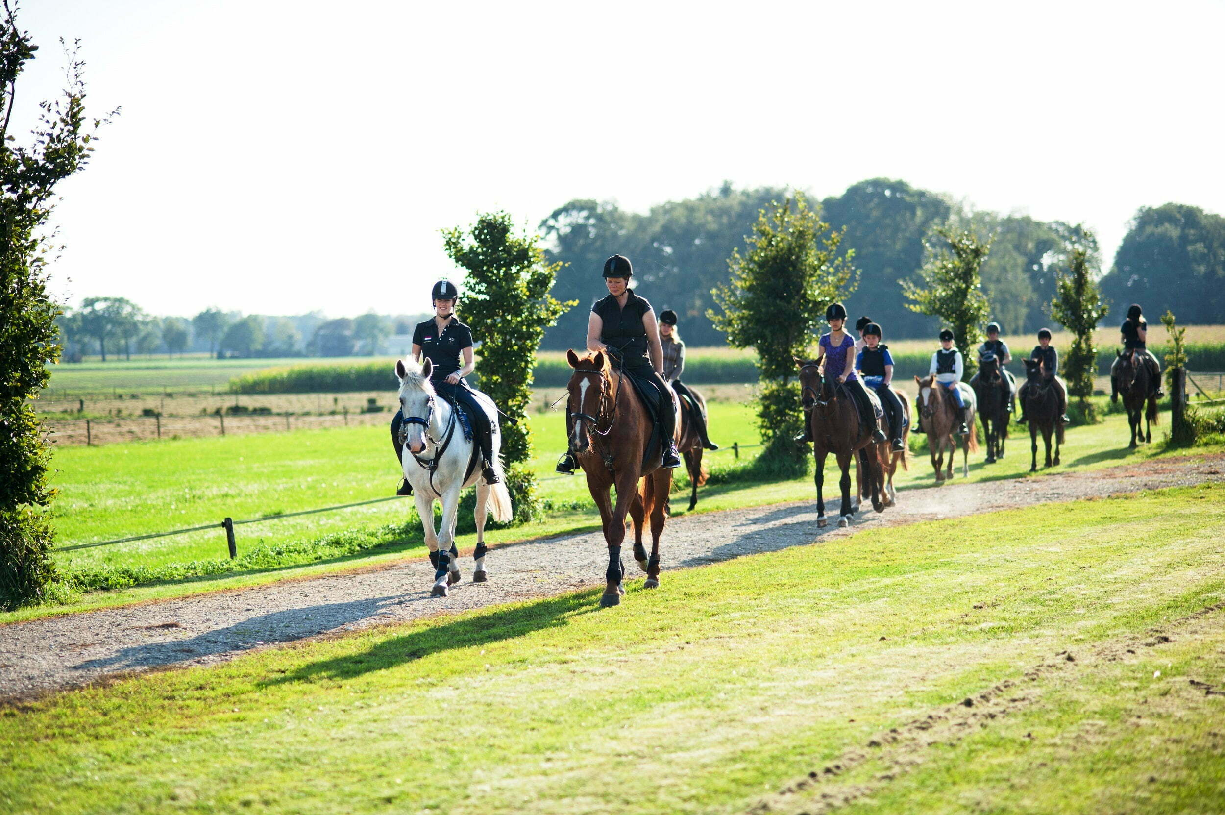 Kennismakingsclinic TREC bij Rijstal Venhof