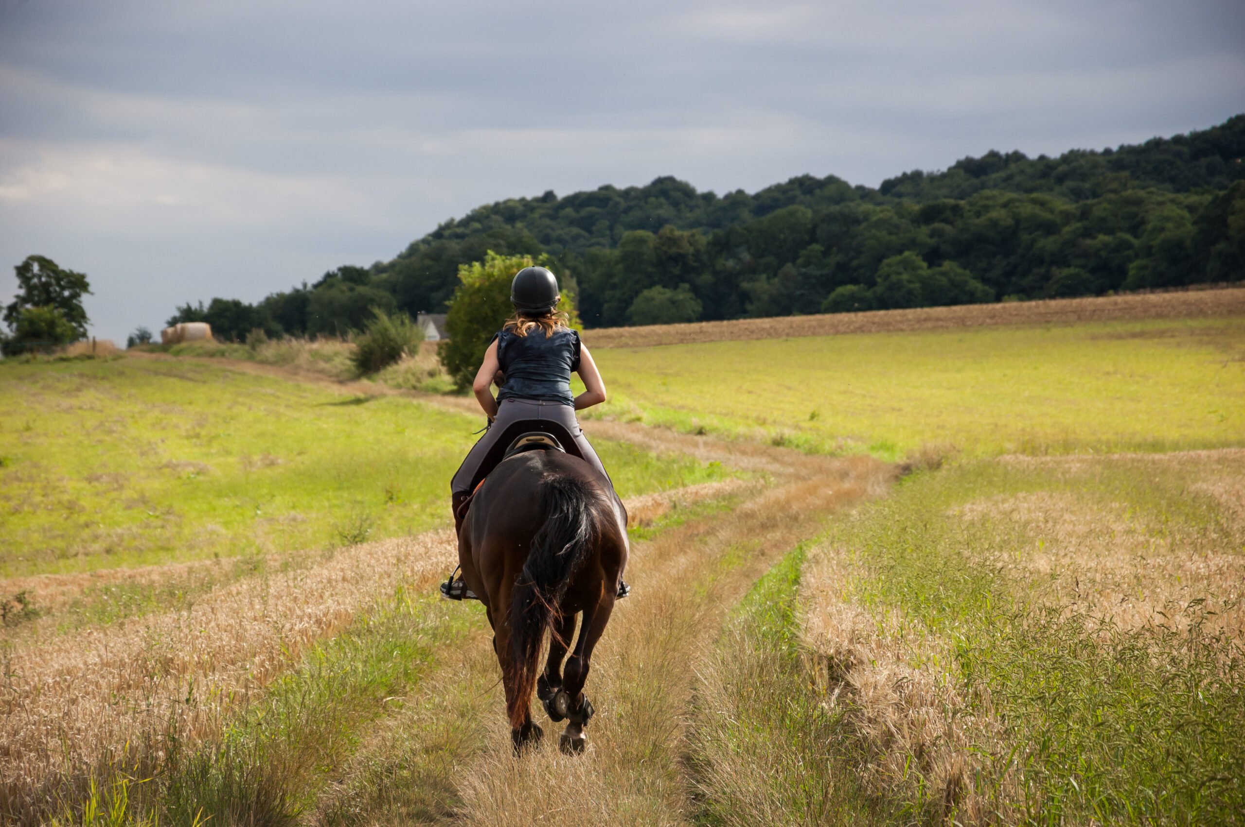 Aftrap promotiecampagne Limburg Paardenparadijs