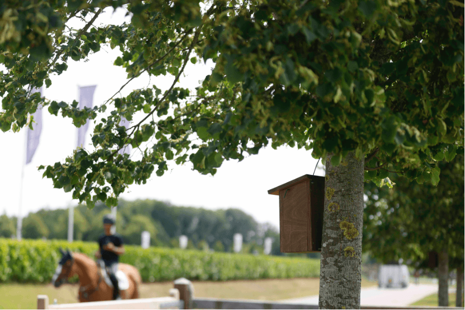 Prijzenswaardige duurzaamheidsprestaties voor Peelbergen Equestrian Centre