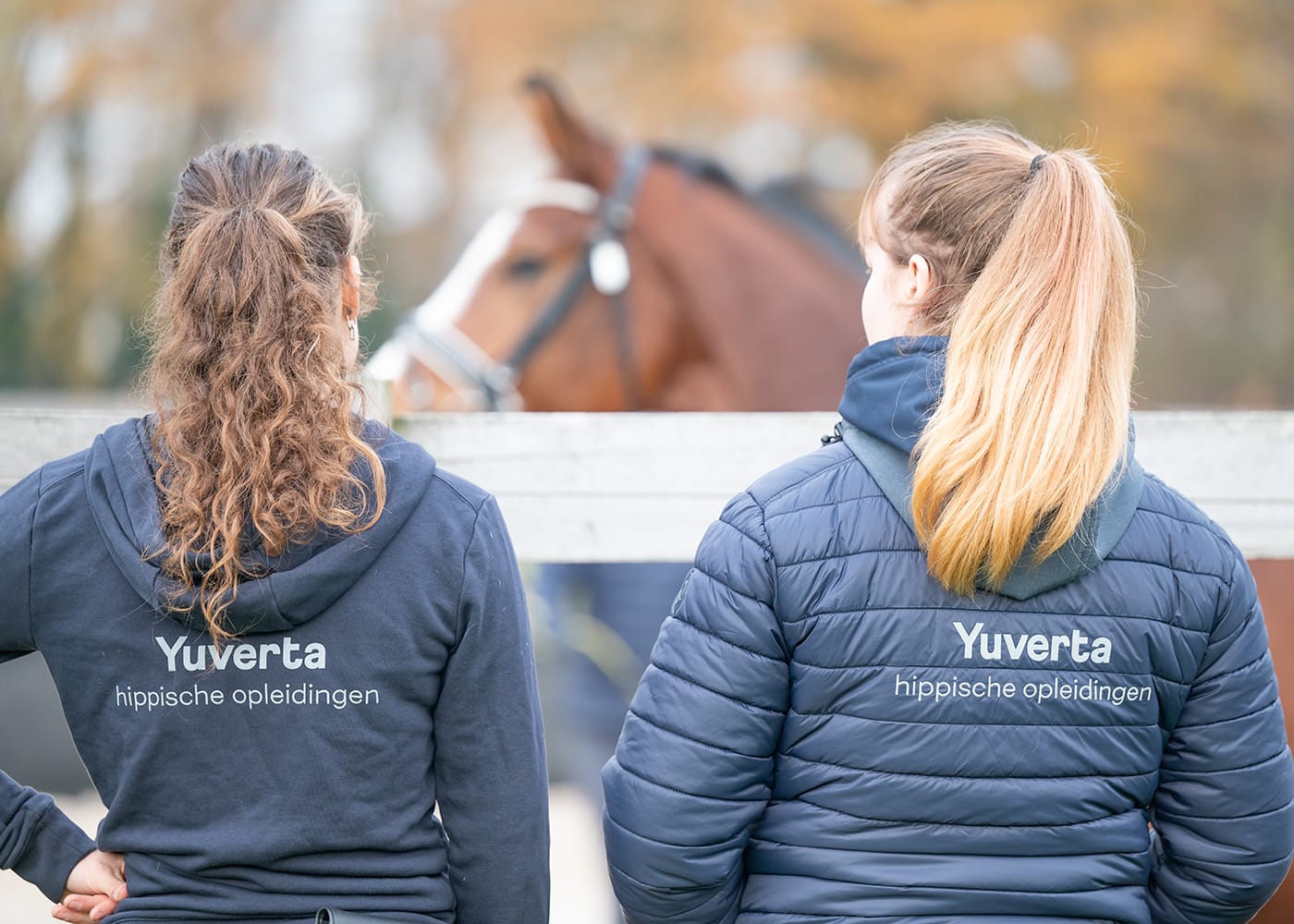 Yuverta opleiding Paardensport en -houderij en Manege De Grensstreek versterken elkaar