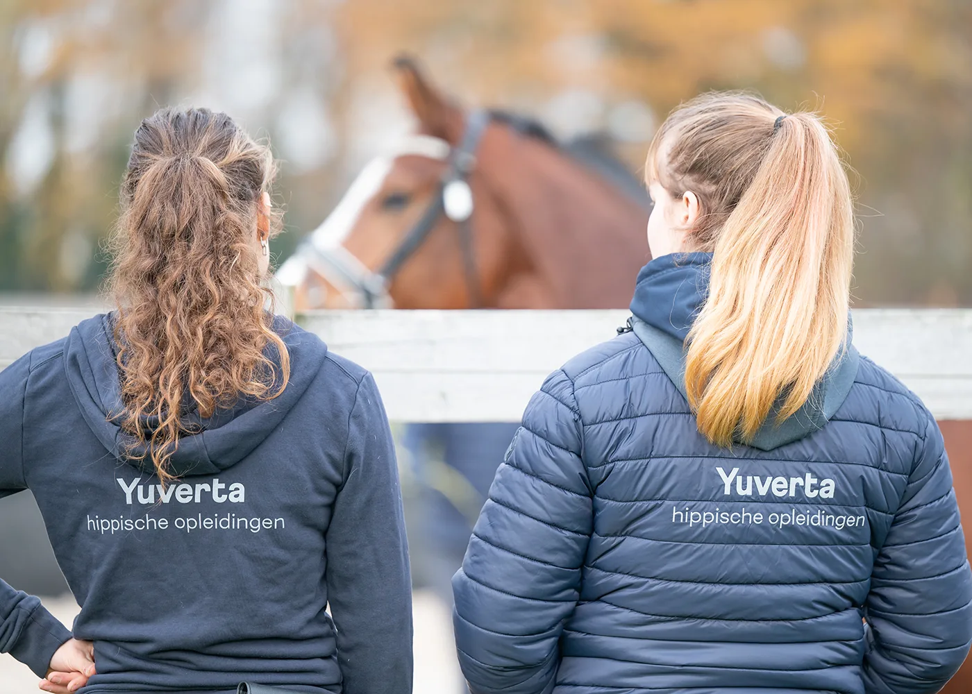 Yuverta opleiding Paardensport en -houderij en Manege De Grensstreek versterken elkaar